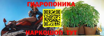 мяу мяу мука Рузаевка